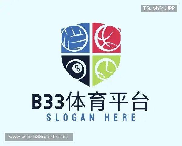 介绍b33体育